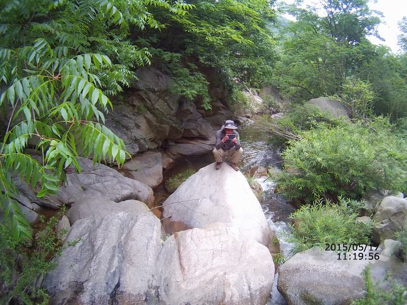 02.jpg