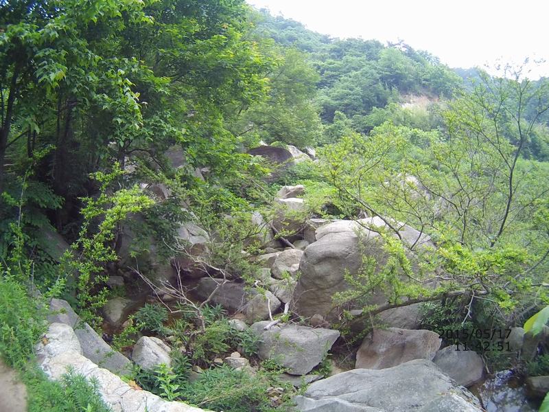 file0042.jpg