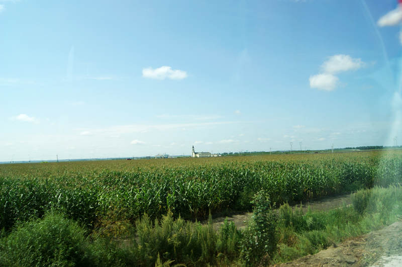 dsc04918.jpg