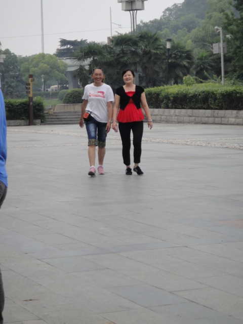 dsc06356.jpg