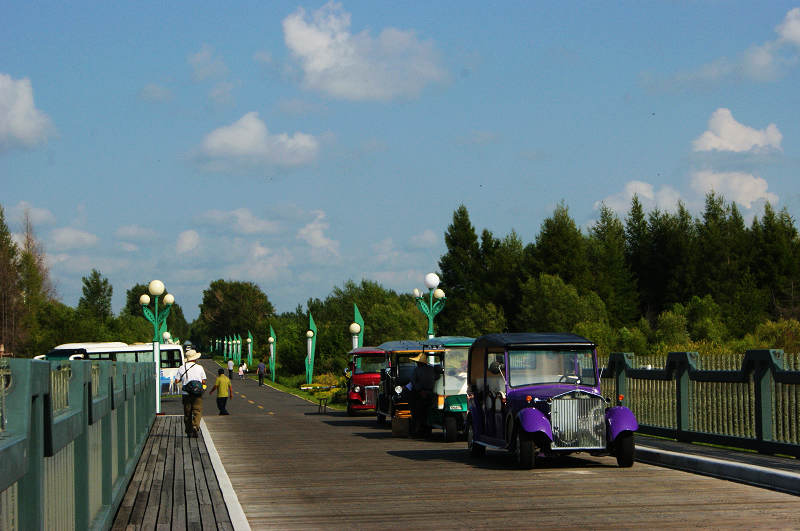 dsc05048.jpg