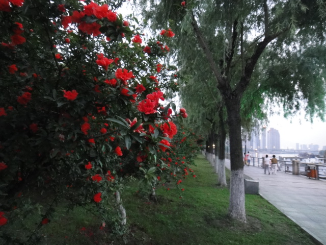 dsc06340.jpg