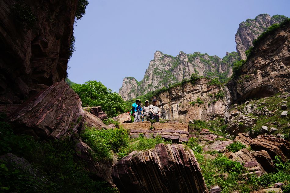 neo_img_dsc06897.jpg