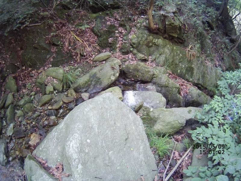 005.jpg