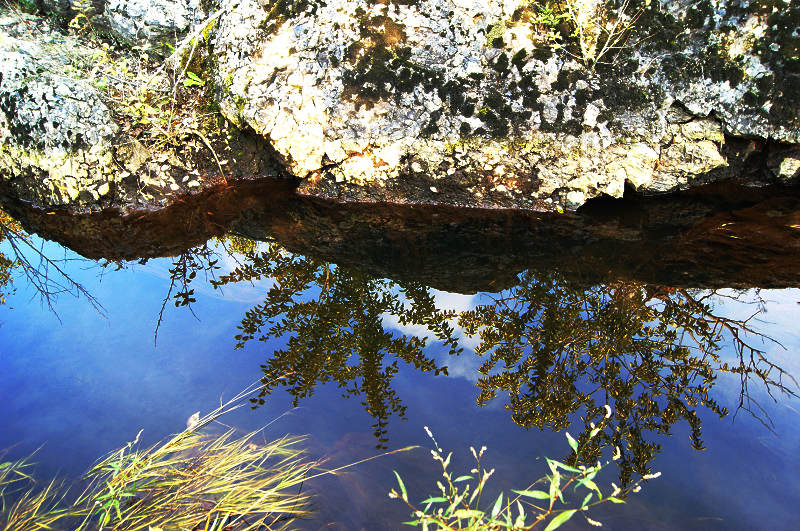dsc05101.jpg