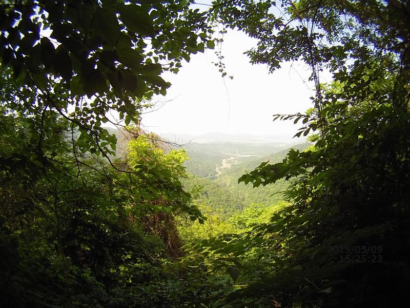 file0084.jpg
