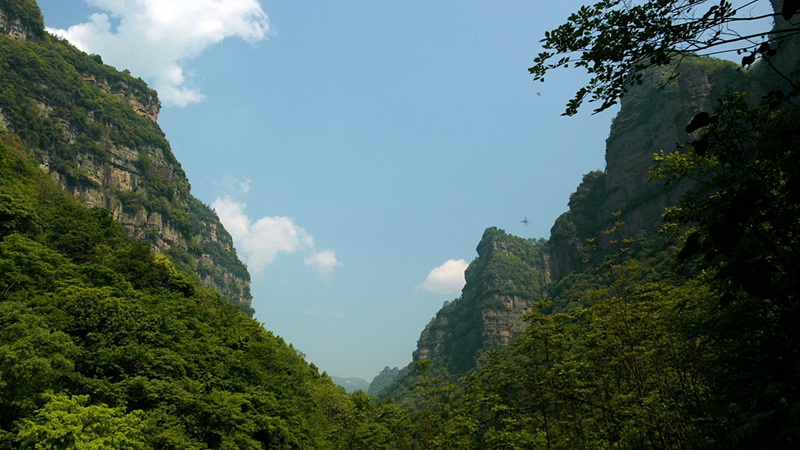 sam_9597_副本.jpg