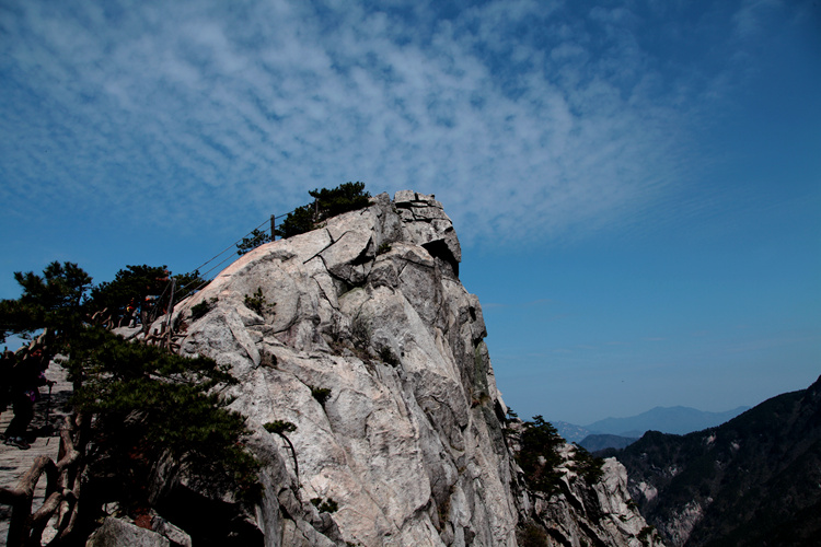 img_8772_副本.jpg
