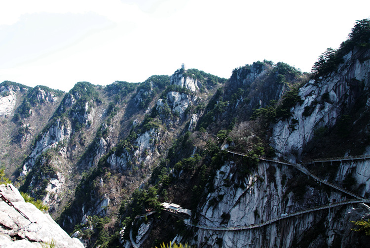 img_8774_副本.jpg