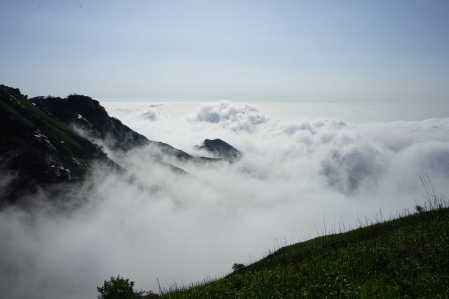 dsc09909.jpg