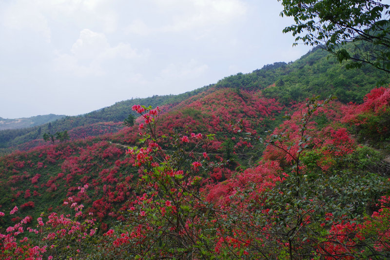 imgp2122.jpg