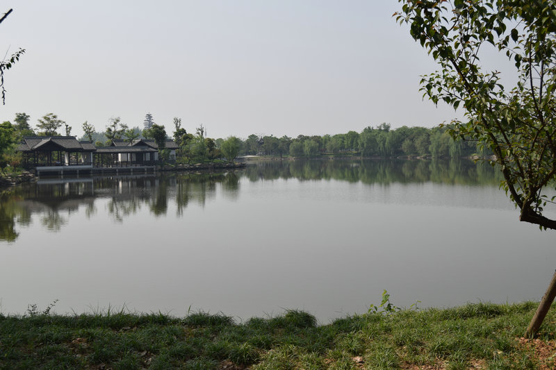 dsc_0115_1.jpg