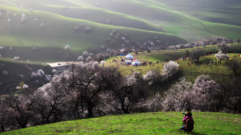 dsc_0069.jpg