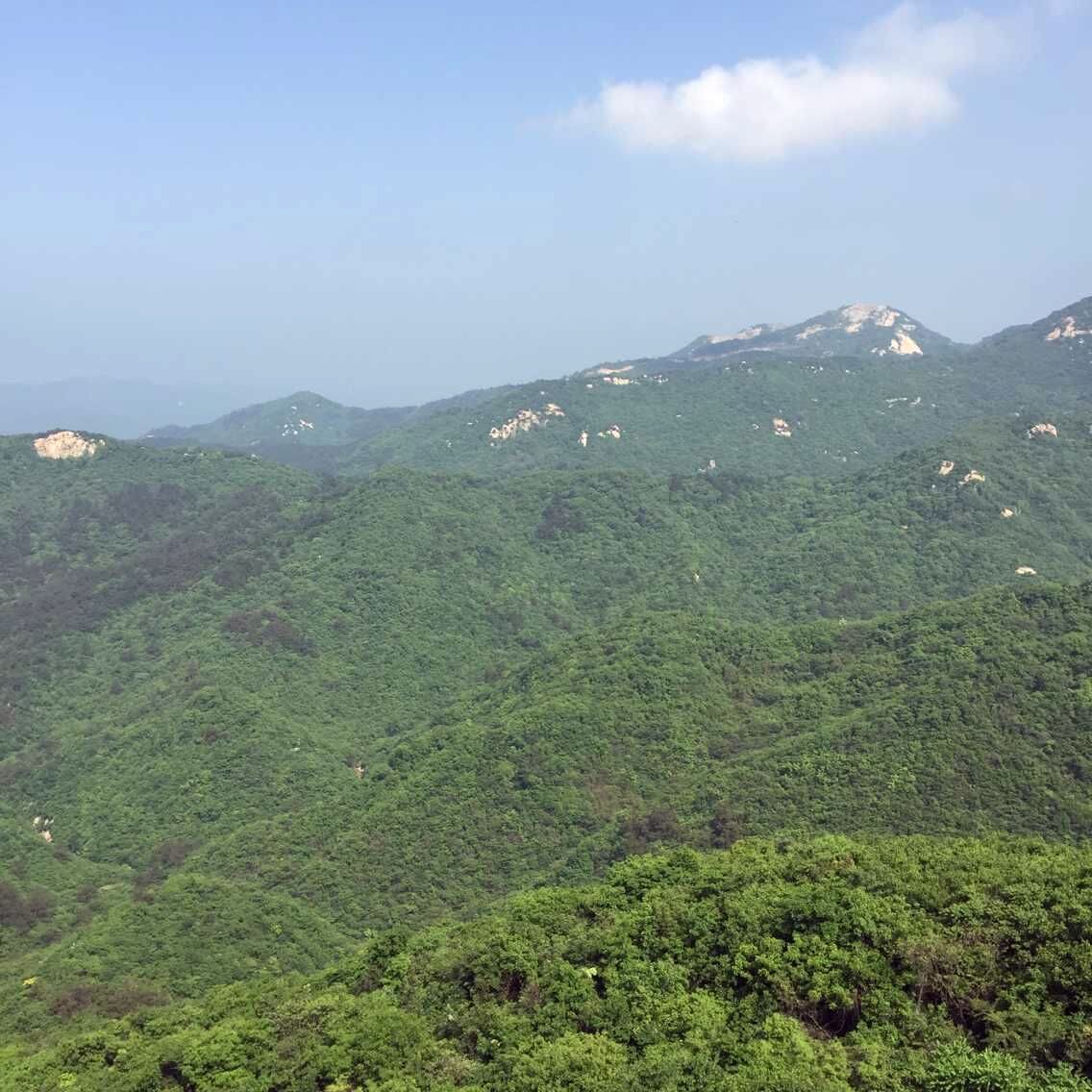 qqͼƬ20150505215022.jpg