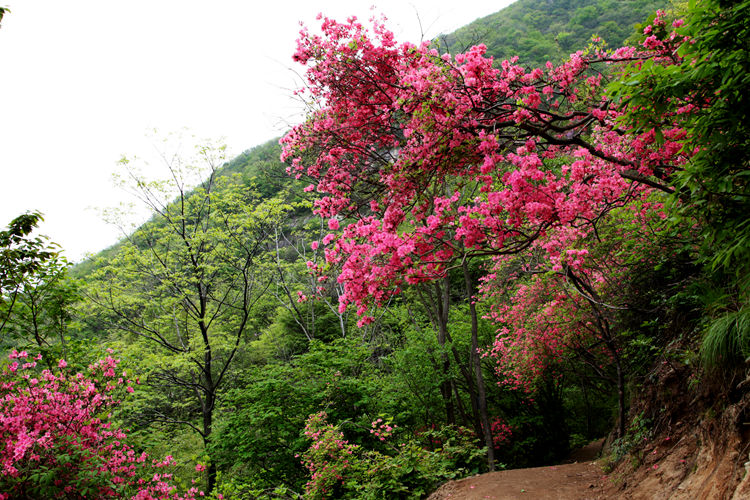 img_8828_副本.jpg