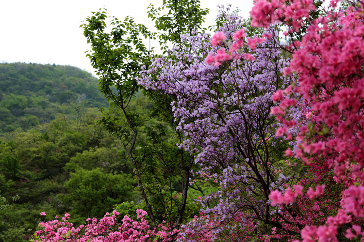 img_8835_副本.jpg