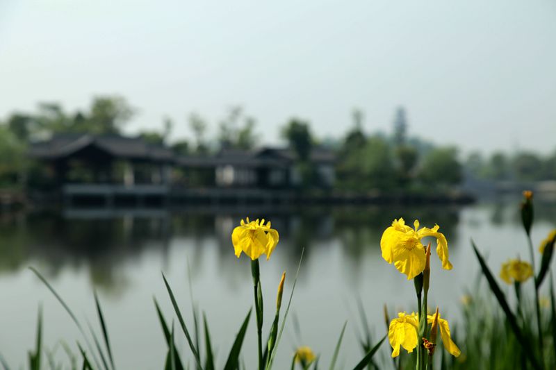img_0792_副本.jpg