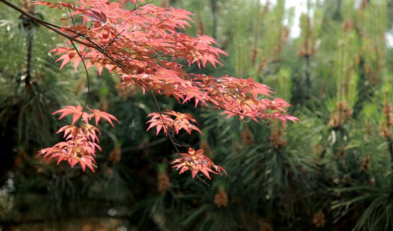 img_0840_副本.jpg