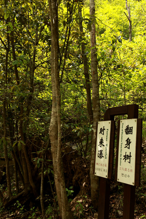 img_5333_副本.jpg