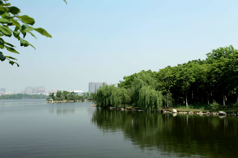 img_0892_副本.jpg