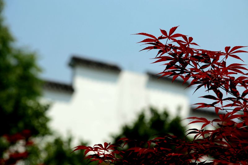 img_0901_副本.jpg