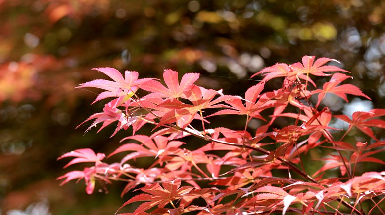 img_0914_副本.jpg