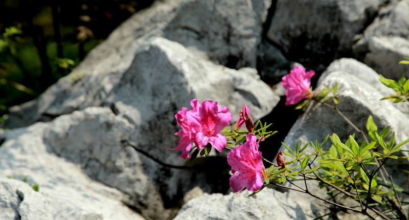 img_0907_副本.jpg