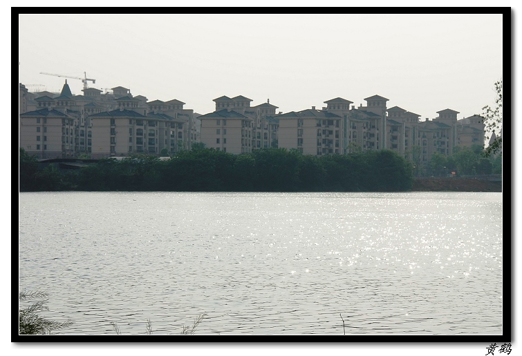 īˮ2011ӡ15.jpg