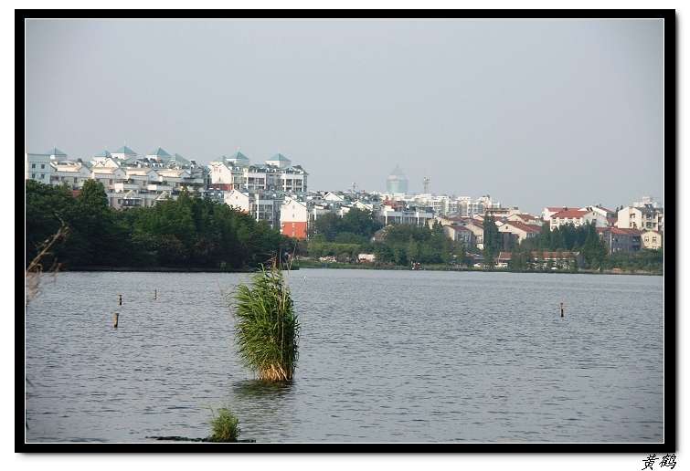 īˮ2011ӡ28.jpg
