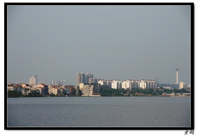 īˮ2011ӡ41.jpg