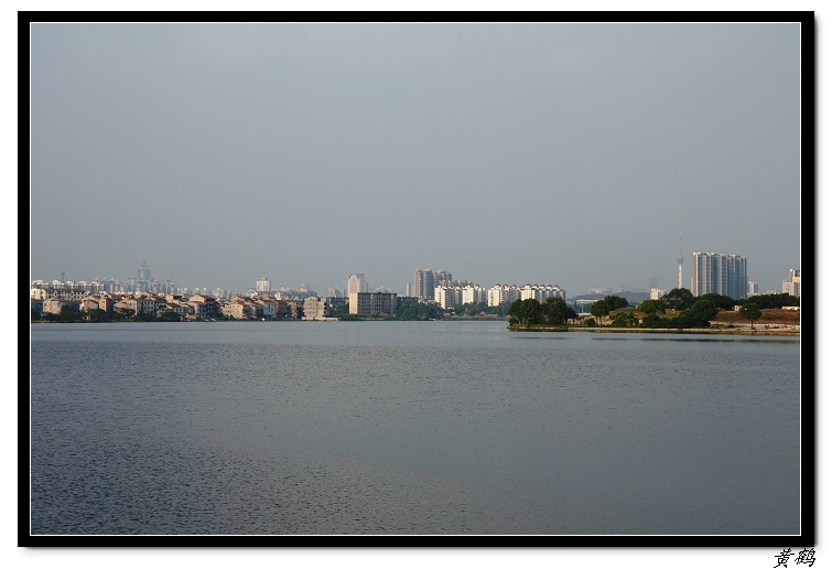 īˮ2011ӡ43.jpg