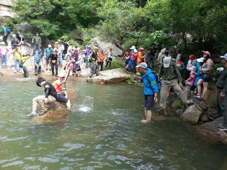 qq图片20150609230223.jpg