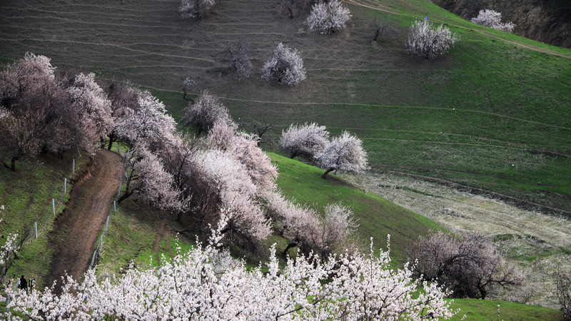 dsc_0015.jpg