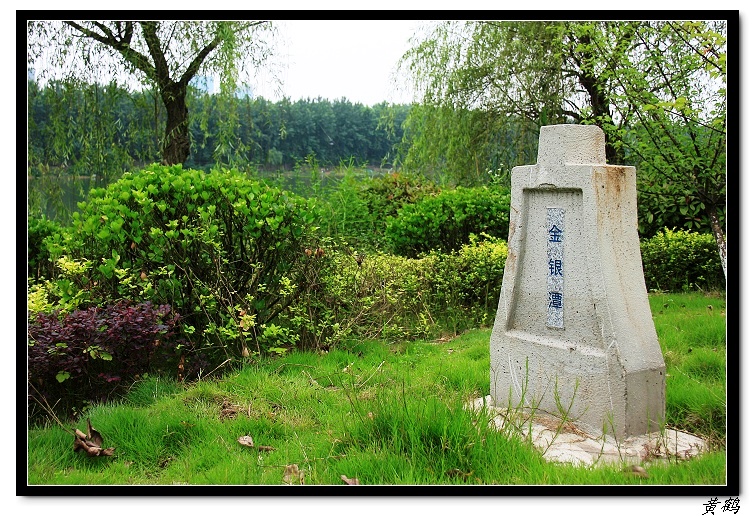 ̶̶֮019.jpg