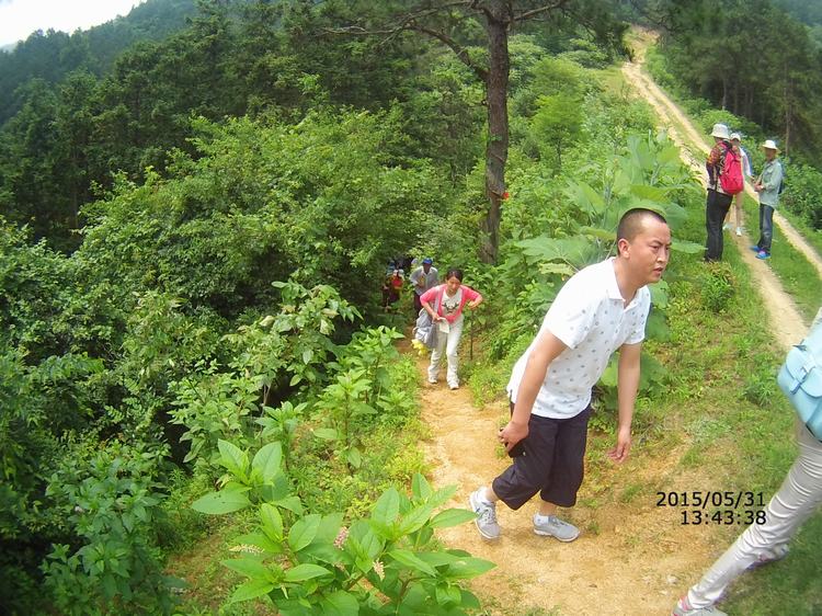 file0078.jpg