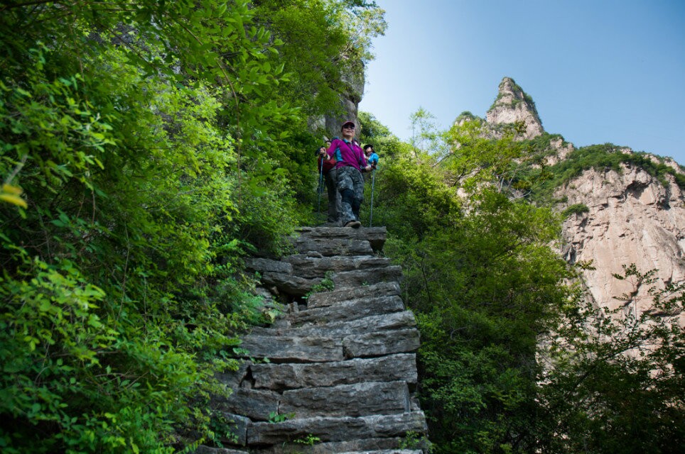 neo_img_dsc00785.jpg