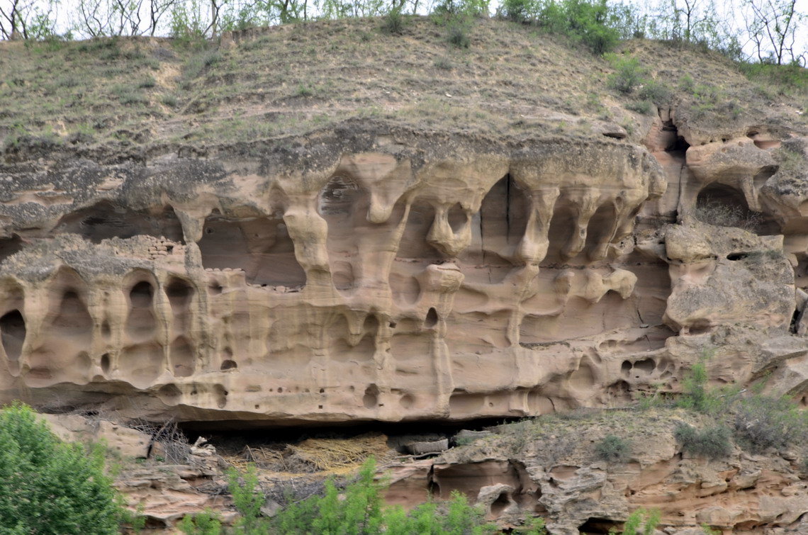 _dsc1508.jpg