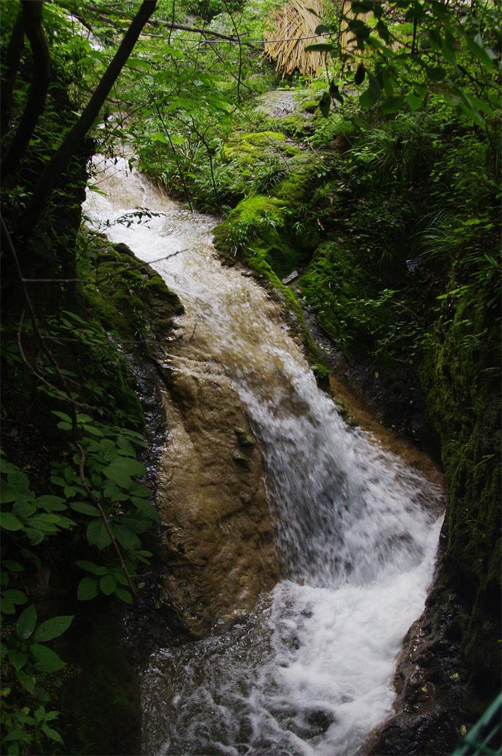 _igp7705.jpg