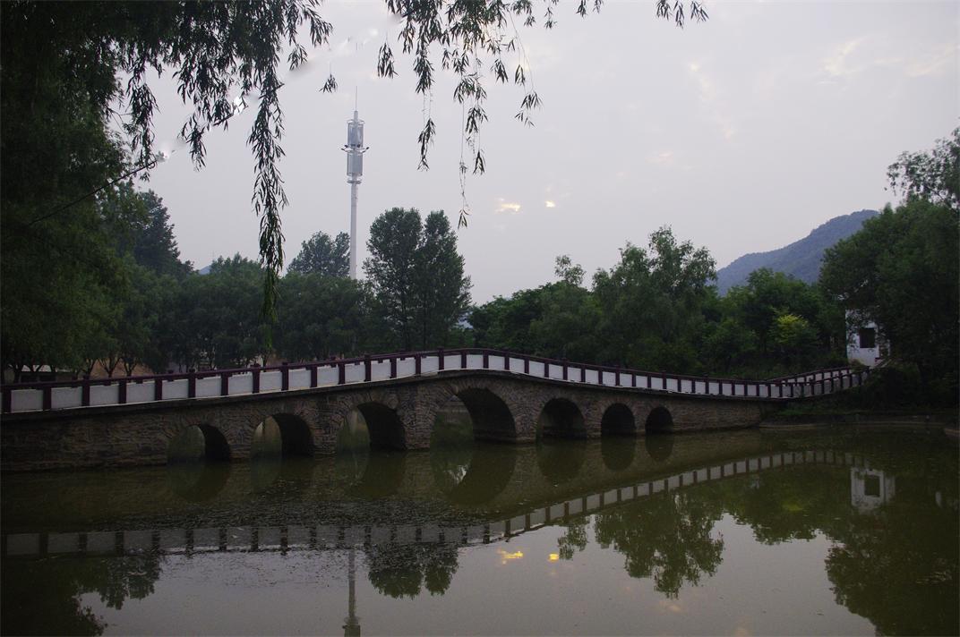 _igp7706.jpg