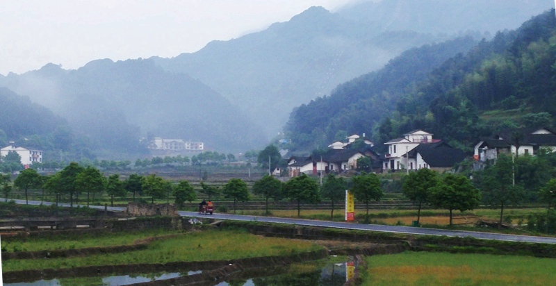 20150502_065251_副本.jpg