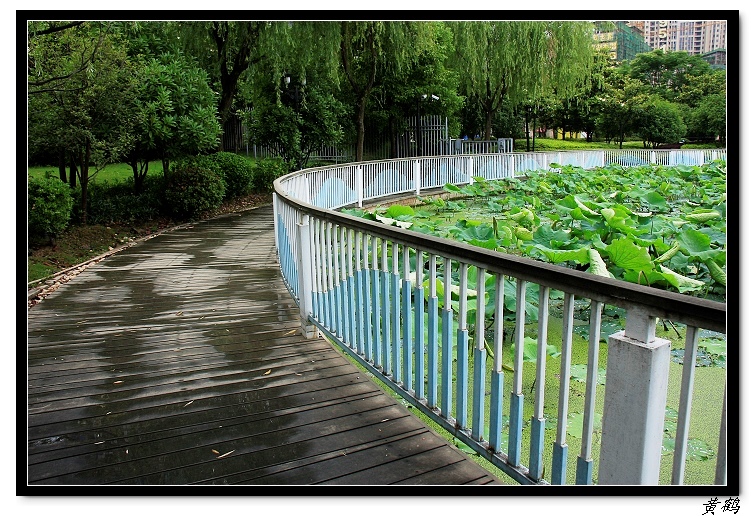 Ӻ03.jpg