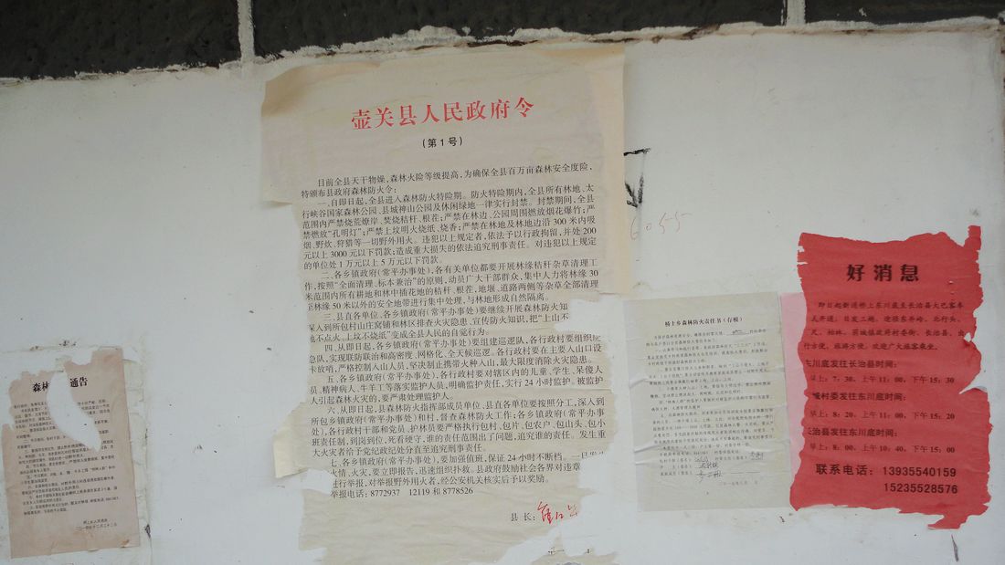 neo_img_dsc00765.jpg