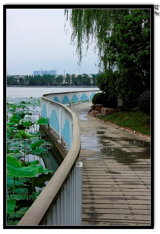 Ӻ08.jpg