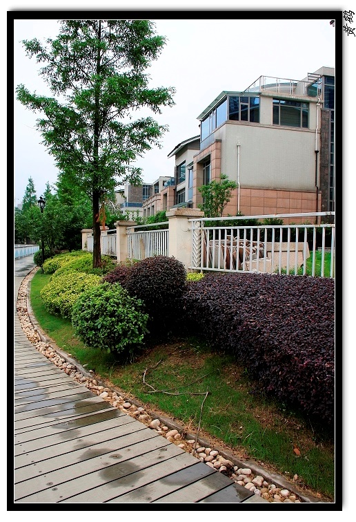 Ӻ09.jpg