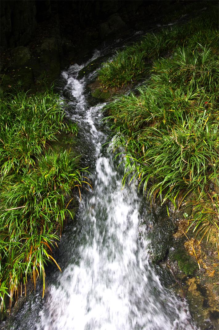 _igp7813.jpg