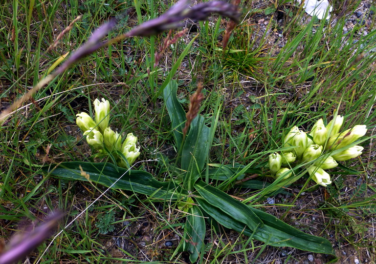 p1240550.jpg