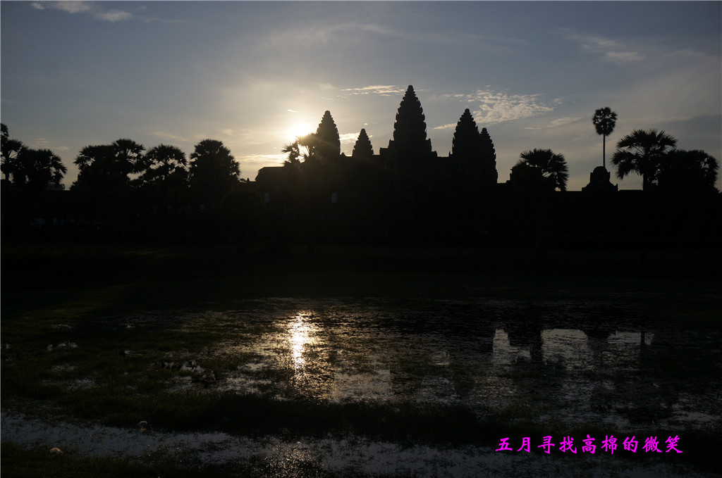 _dsc9374_.jpg