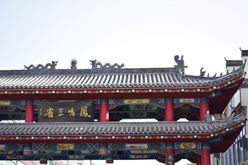 dsc_0230.jpg