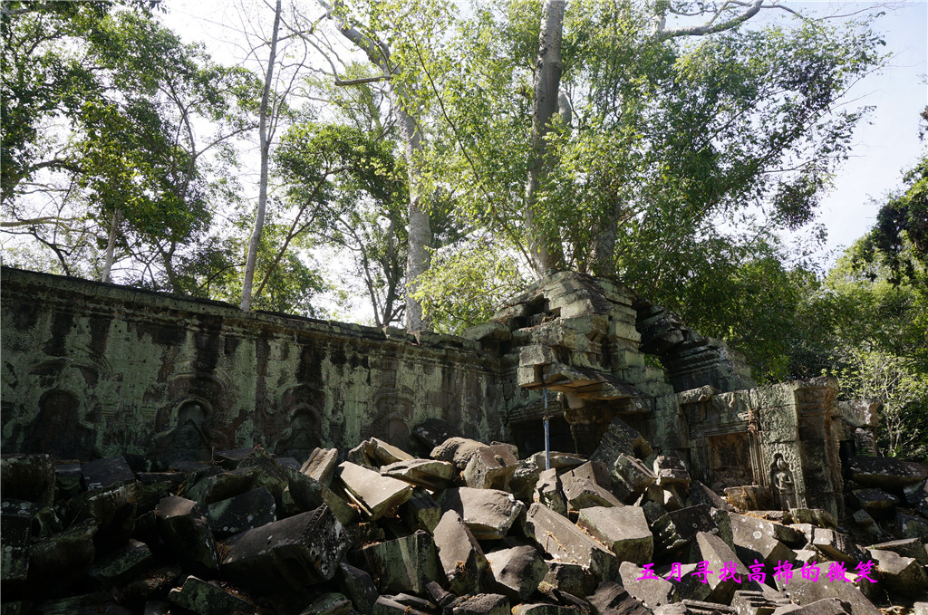 _dsc9450_.jpg