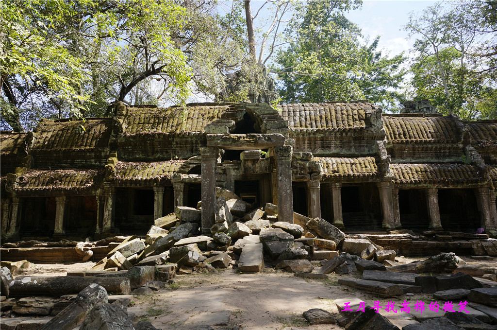 _dsc9458_.jpg
